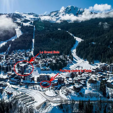 Appartement La Tania, 2 Pièces, 4 Personnes - Fr-1-182a-26 Courchevel